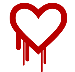 Heartbleed SSL oversight